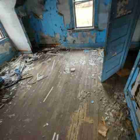 8031 conger (40).jpg